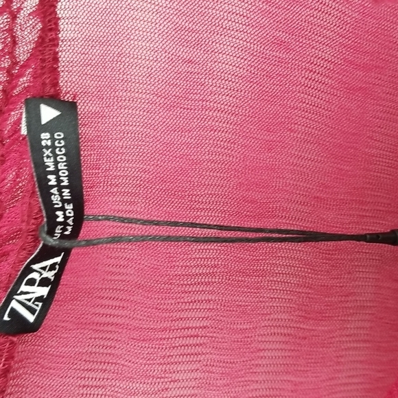 Zara Cranberry Dropped Waist Sheer Overlay Dress with Slip - Picture 3 of 13